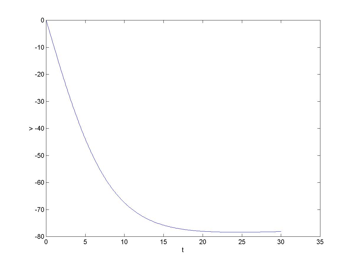 terminal velocity graph